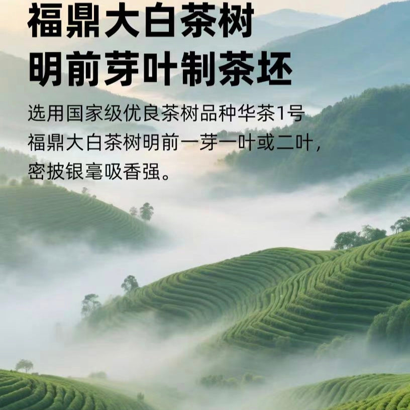 Special Grade Fujian Fuzhou Jasmine Tea Canned