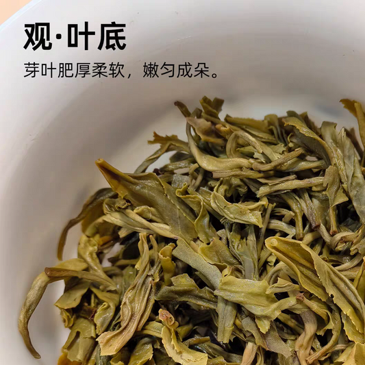 Special Grade Fujian Fuzhou Jasmine Tea Canned