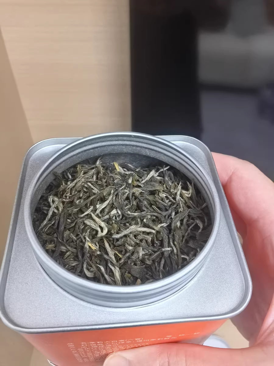 Special Grade Fujian Fuzhou Jasmine Tea Canned